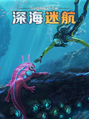 哪里有便宜的女装货源